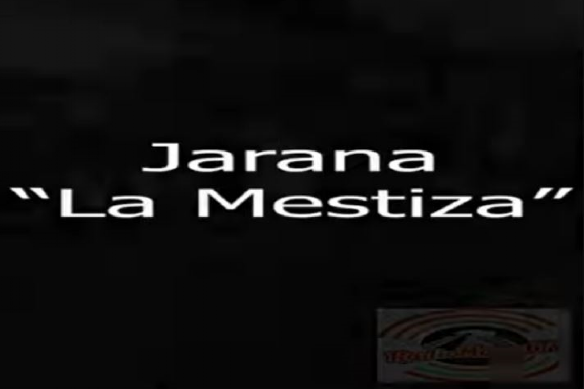 Taller de Jarana